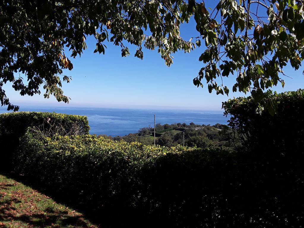 Epotx Etxea Appartement Getaria Buitenkant foto